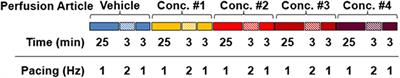 Action Potential Recording and Pro-arrhythmia Risk Analysis in Human Ventricular Trabeculae